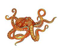 Blumuze Wooden Jigsaw Puzzles, Octopus Wooden Puzzles for Adults, Unique Shaped Animal Wood Puzzles, Wooden Animal Puzzles for Adults Kids with Wood Gift Box, 17 x 13 Inches, 228pcs Large