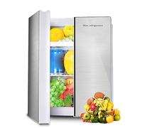 BLUNOA 25L Mini Fridge Freestanding Refrigerator Portable Food Warmer Heater & Beverage Drink Cooler For Home Travel Room Office Car Fridge AC/DC Powered (Color : Dual core)