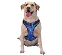 Blurred Star Snow Christmas Pattern Dog Harness - Lightweight,Soft,Adjustable Small Harness and Leash Set, Suitable for Puppy Small and Medium-Sized Dog-X-Large