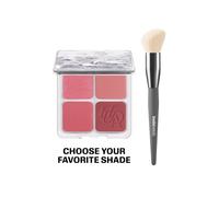 Blush & Brush Kit