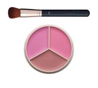Blush Face for Cheeks - Brush Makeup Smudge Proof Bronzer Palette | Daily Office Video Call Travel Day Wedding Photography Stage Holiday Birthday Women Girls