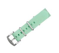 BluShark Original Collection Military-Style Waterproof Watch Strap, Seafoam Green / Brushed Buckle, 20mm, Modern