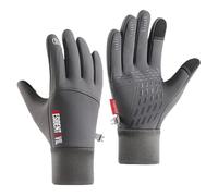 Bluxir Ski Gloves for Men Resid.ent evil, Snowboard Cold Weather Gloves, Gloves for Cycling Running Climbing Hiking Outdoor Sports, Warm(Grey,XL)