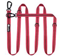 bluzelle Strong Double Dog Lead 3m for Large Dogs up to 220lb, Adjustable & Rubberised Tape with Reflective Seam, 2x Carabiner Clip 360° Aluminum, Crossbody Strap Hands Free Dog Leash, Color:Red