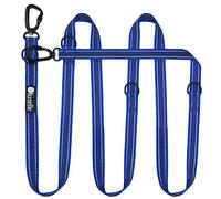 bluzelle Strong Double Dog Lead 3m for Large Dogs up to 220lb, Adjustable & Rubberised Tape with Reflective Seam, 2x Carabiner Clip 360° Aluminum, Crossbody Strap Hands Free Dog Leash, Color:Blue
