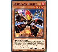 BLVO-EN006 Springans Rockey