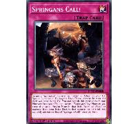 BLVO-EN068 Springans Call!