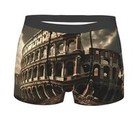 BLWSLC Adult Remains of the Roman Colosseum Printed Boxer Briefs Men's Stretch Boxer Briefs For Everyday Wear And Fitness