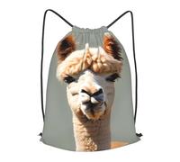 BLWSLC Alpaca avatar Printed Travel Drawstring Backpack Gym Drawstring Bag Portable Suitable For Short Trips, Black, M