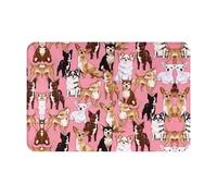 BLWSLC Chiwawas Dog Pink 16x24in non-slip flannel floor mat with a pattern suitable for indoor and outdoor use home decor