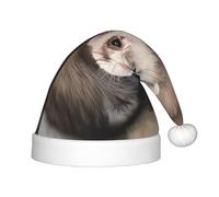 BLWSLC Cute Ferret Children's Christmas hats printed party hats suitable for Christmas parties family gathering decorations