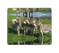 BLWSLC Desktop Mouse Pad Overlocked Edge Donkey on green meadow Printed Gaming Mat Suitable For Gaming And Office 7.9 x 9.5 in