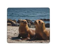 BLWSLC Desktop Mouse Pad Overlocked Edge Sea Lions Printed Gaming Mat Suitable For Gaming And Office 7 x 8.6 in