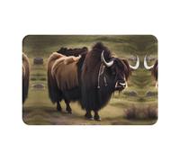 BLWSLC Mighty Highland Yak 16x24in Non-Slip Flannel Floor mat with a Printed Design Suitable for Outdoor use patios porches and bathrooms