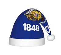 BLWSLC Wisconsin State Flag Children's Christmas hats printed party hats suitable for Christmas parties family gathering decorations