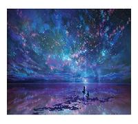 Blxecky 5D DIY Diamond Painting by Number Kits，Night Sky(16X12inch/40X30CM)