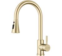 Blylund Brushed Gold Kitchen Tap With Pull Out Spray & 3 Modes