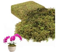 BlynthaToy Green Sphagnum Moss for Plants - 200g 8L Natural Decorative Moss | Soft, Natural Alternative to Fake moss and Artificial Moss for Plant Pots, Terrariums, Fairy Gardens, Wreaths and Crafts