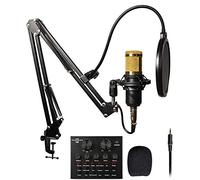 BM-800 Mic Set,Stereo Sound Card,Two-Channel DJ Scratch Mixer,Disguiser Modulator for DJ, DVS License, 2 Direct Access Effect Selectors, Performance Pads And 24-Bit Sound Quality