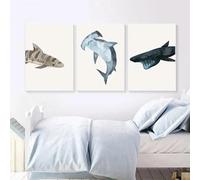 BMGKYAGL Cartoon Animal Wall Poster Art Shark Posters and Prints Kindergarten Picture Nursery Wall Art for Children's Decor 30x45cmx3 Frameless
