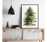 BMGKYAGL Modern Pine Coast Redwood Eastern Redbud Natural Tree Canvas Living Room Bedroom Wall Art Home Decor 40x60cm Frameless