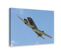BMIQWAHG Air Force Douglas Dakota Transport Aircraft Canvas Poster Bedroom Decor Landscape Office Room Decor Gift 20x30inch(50x75cm)