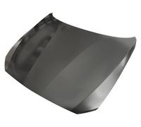 Fits Bmw 1 Series 2015- Bonnet