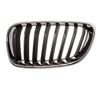 PRASCO BM2502004 Radiator Grille