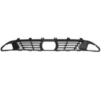 PRASCO BM0342110 Bumper grill
