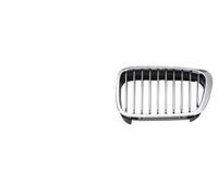 BLIC 6502-07-0061996PP Radiator Grille