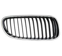 PRASCO BM0252043 Radiator Grille