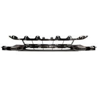 PRASCO BM0282120 Bumper grill