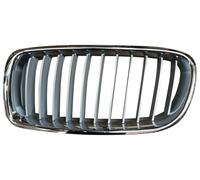 PRASCO BM0282034 Radiator Grille