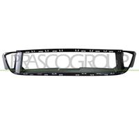 BMW 5 / F10 10> M SPORT FRONT BUMPER GRILLE FRAME