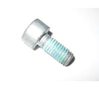 BMW Allen Bolt Screw M8x1.25x18 mm Grade 10.9 7548052 21207548052 Genuine