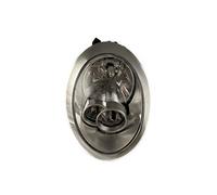 BMW Mini 04-06 Headlight Electric With Motor Right Hand MN3064903 (4768)