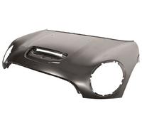 Bmw Mini 06-10 Bonnet With Hole (Cooper S & D Models) MN3083110