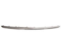 BMW Mini 10- Front Lower Finisher Trim Chrome MN3102226