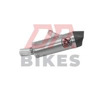 BMW R 1250 R / RS 2019-2020 Arrow Maxi Race-Tech titanium silencer with carby en