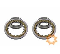 BMW SERIES DIFF SIDE BEARING PAIR GENUINE O.E.M.