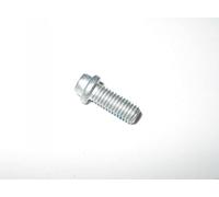 BMW T15 Torx Bolt Screw M5x0.80x12 mm LEFT-HAND THREAD 51217049952 Genuine