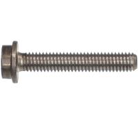 BMW T30 Torx-Head AL9 Alloy Bolt/Screw M6x1.00x35mm 11147724485 Genuine