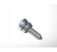 BMW T40 Torx-Head Bolt Screw M6x1.00x22 mm Grade 8.8 24117552348 Genuine