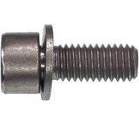 BMW T45 Torx Bolt/Screw & Washer M8x1.25x20mm Grade 8.8 07129905423 Genuine
