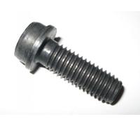 BMW Torx Bolt Screw M10 x 1.5 x 28mm Grade 10.9 9321690 07149321690 Genuine