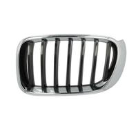 BLIC 6502-07-00939933P Radiator Grille
