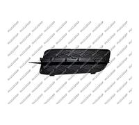 BMW X5 / E70 07> FRONT BUMPER GRILLE L/H
