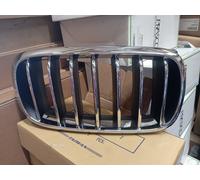 BMW X5 X6 F15 F16 Front Right Radiator Grill Kidney Grille 7316076