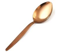 BNAZIND Kunz Spoons Cooking Spoons 18/10 Stainless Steel Titanium Shiny Rose Gold Basting Spoon - 9 Inches Plating Spoons - Daily Chef Spoons - quenelle spoon - Serving Spoon