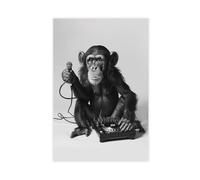 BNCEDJK Funny Monkey DJ Poster Canvas Poster Bedroom Decor Landscape Decor Gift 12x18inch(30x45cm)